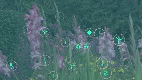 Single teal icon appearing lower-left, pink spikes emitting spreading icons, Stock Footage 334242411