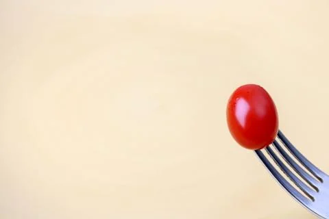 Single Tomato Foto stock