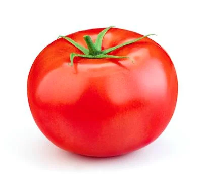 Single tomato 스톡 사진