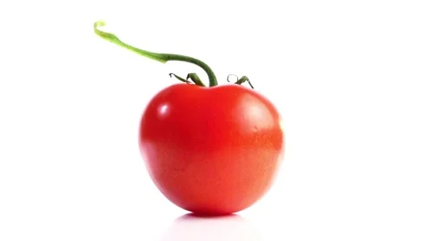 Single Tomato on white background isolated - Tomate 50FPS Stock Footage 276908007