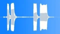 Single Tone Motor Horn Sound Effect