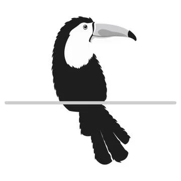 Single toucan icon Stock Illustration