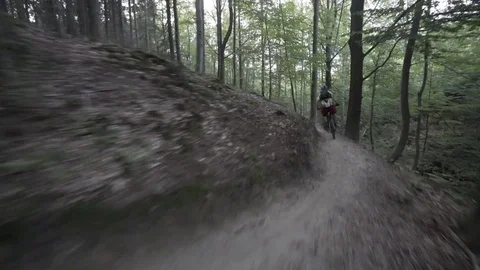 Single Track In The Forest Stock Footage 72336450