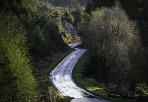 Single track road Stock Photos