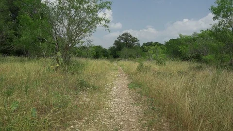 Single track trail in texas Vídeos de archivo 75433715