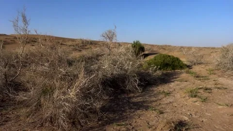 A single tractor pulls a cart through the desolate terrain, stock footage. Stock Footage 304816964