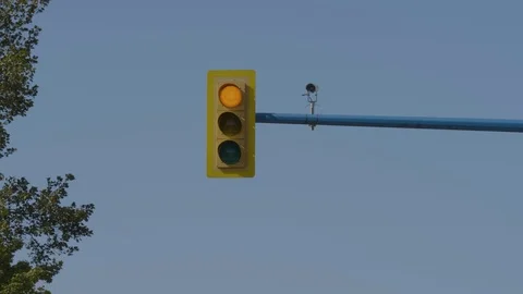 A single traffic light on pole. Low angle. Vidéo 118266054