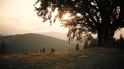 Single tree against colorful sunset sky in mountain on hot summer evening. Video stock 121173059