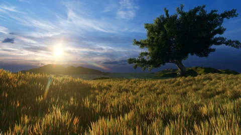 Single Tree and grass at dawn beautiful sky Video stock 130580876