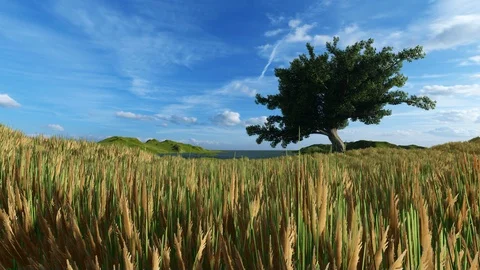 Single tree on a beautiful sunny day Video stock 129894041