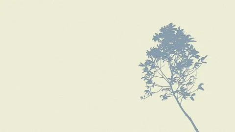 Single Tree on Bright Field Stock Photos