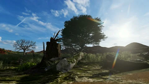 A single tree in a deforested forest Video stock 171000934