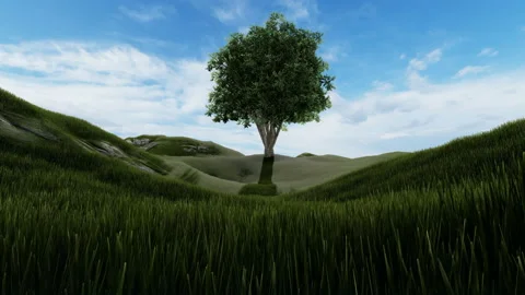 Single tree in the green grass field Stock Footage 131016174