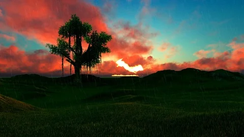 SINGLE TREE ON GREEN HILLS ON A RAINY DAY Stock Footage 88657433