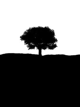 Single Tree Stock Illustration
