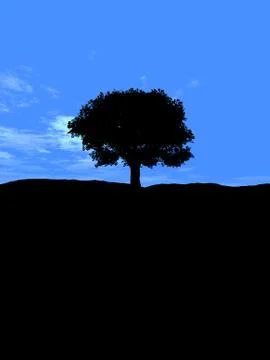 Single Tree Stock Illustration
