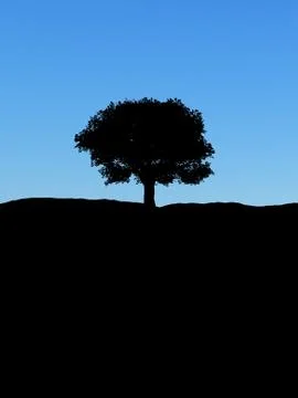 Single Tree Stock Illustration