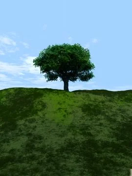 Single Tree Stock Illustration