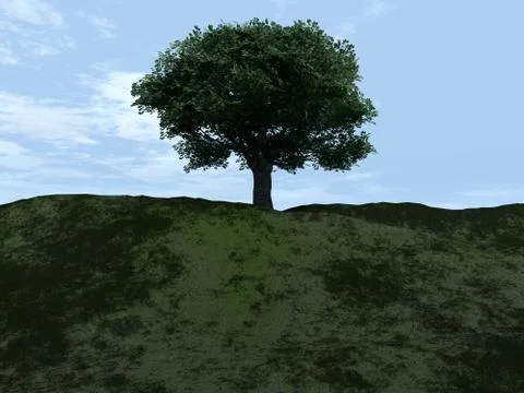 Single Tree Stock Illustration