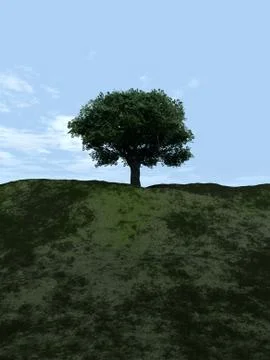 Single Tree Stock Illustration