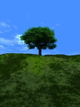 Single Tree Stock Illustration