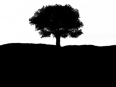 Single Tree Stock Illustration