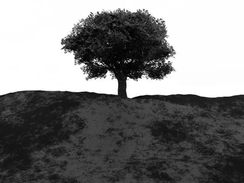 Single Tree Stock Illustration