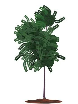 Single Tree Stock Illustration