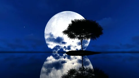 Single Tree on island against big moon Stock Footage 105060404