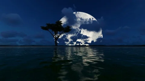Single tree on an island with big moon Video stock 106110887