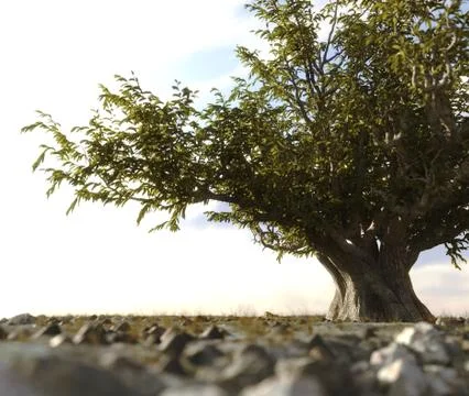 Single tree left in a desert rock landscape conceptual background 3D illustratio Stock Illustration