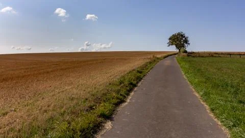 Single tree near a public path through farmland in Luxembourg Stock Photos