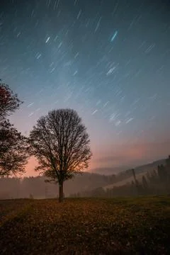 Single tree next to path, star trails in the sky, night long exposure photo. Stock Photos