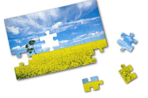 Single tree puzzle Stock Photos