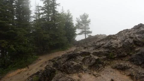 A single tree on the rock of the tatra mountain Stock Photos