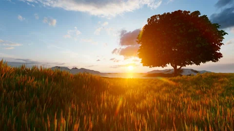 Single tree by the sea in the meadow Video stock 134169183