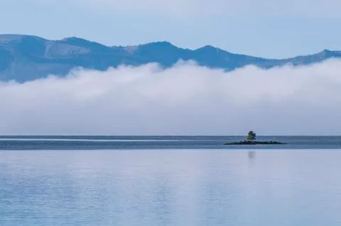 Single tree on a small island Stock Photos