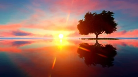 Single tree on small island surrounded by the sea Stock Footage 111188283