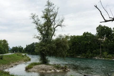 Single tree standing in the river Stock Photos