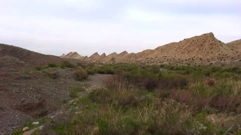 A single tree sways gracefully in the wind within a vast, stock footage. Stock Footage 304783692