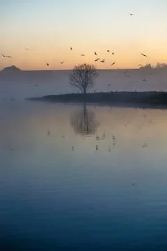 Single tree on tiny island Stock Photos
