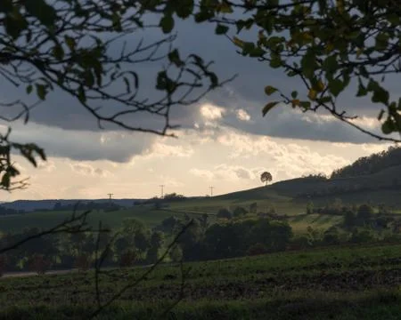 Single tree on top of a hill with clouds on the horizon Foto stock