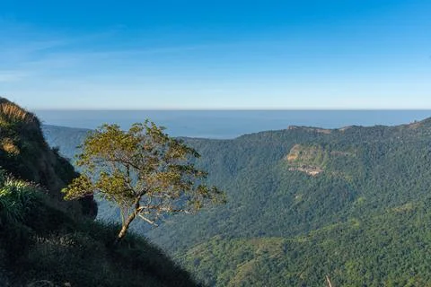 A single tree a the top of the mountain. Stock Photos