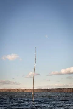 Single tree trunk in reservoir Stock Photos