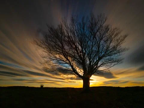 Single tree under dynamic sunset sky - A striking long exposure shot of a s.. Stock Photos