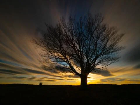 Single tree under dynamic sunset sky - A striking long exposure shot of a s.. Stock Photos