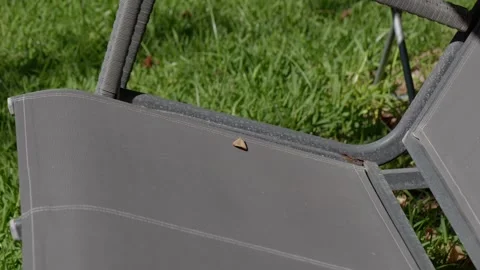 A Single Triangular Leaf Rests on a Textured Outdoor Chair Stock Footage 275825829