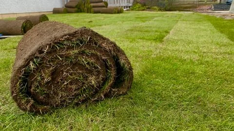 Single turf roll on green surface, synthetic lawn installation in progress. Stock Photos