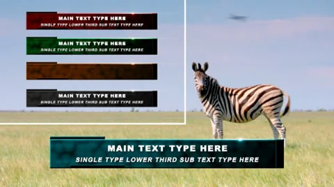 Single Type Lower Third After Effects stock