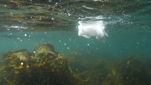 Single use plastic bag in the ocean Video stock 120099578